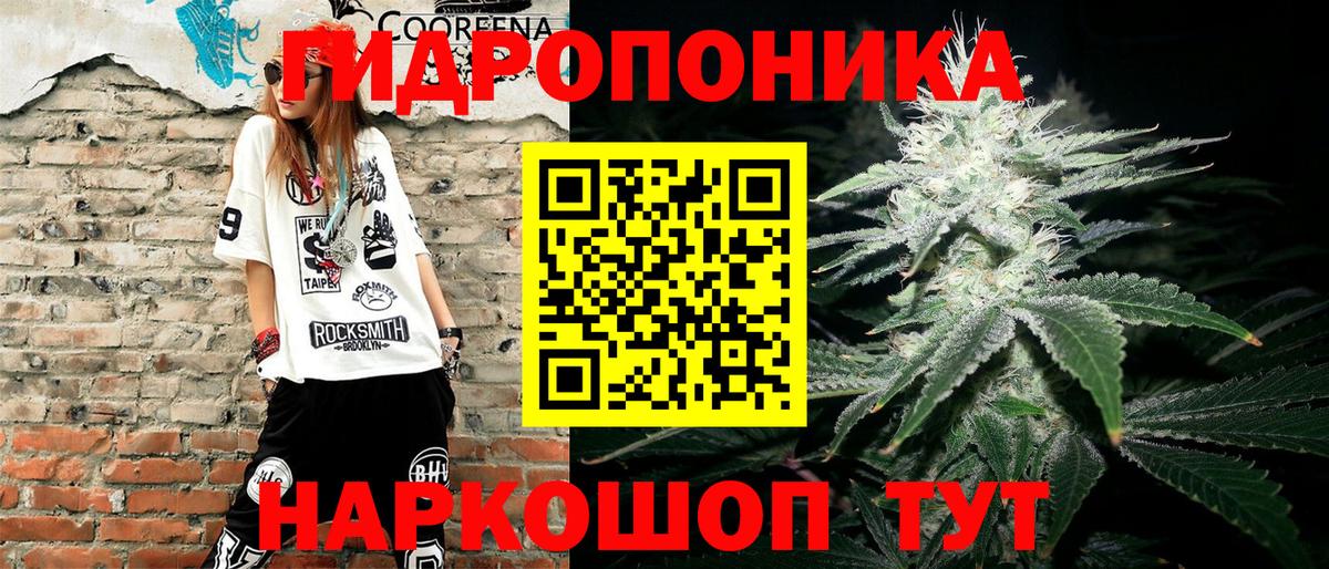 Канабис планчик Людиново